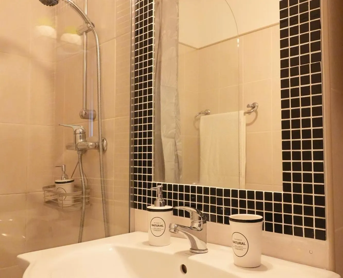 Apartment Bucharest Central Studio